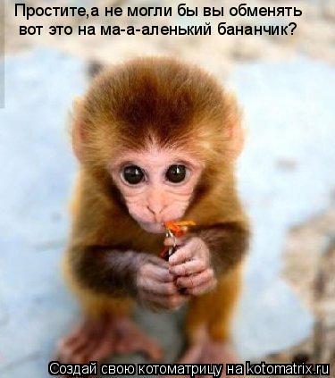 Простите,а не могли бы вы обменять вот это на ма-а-аленький бананчик?... Котоматрица: Простите,а не могли бы вы обменять вот это на ма-а-аленький бананчик?
