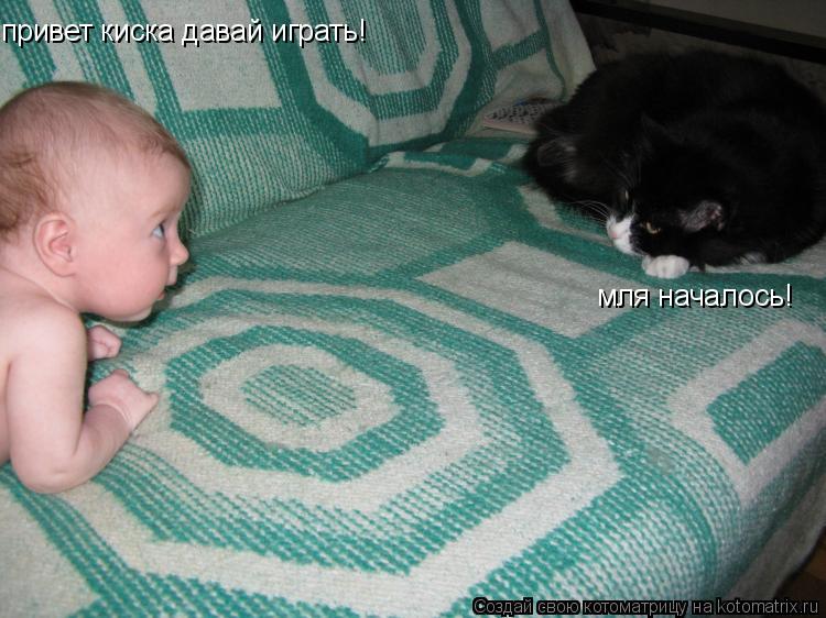 Котоматрица: привет киска давай играть! мля началось!