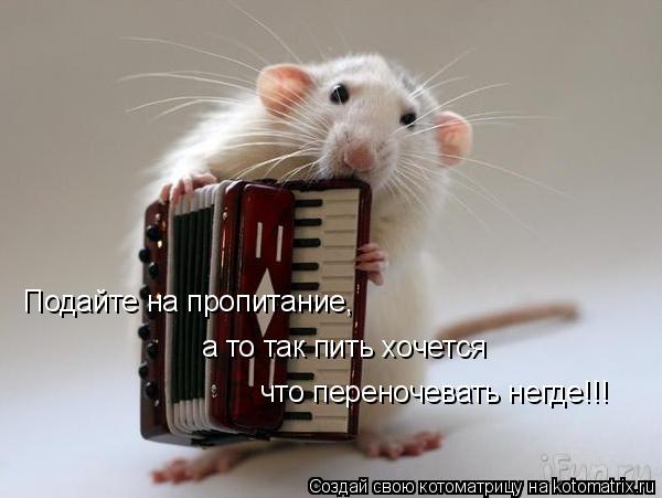 Подайте на пропитание, а то так пить хочется что переночевать негде!!!... Котоматрица: Подайте на пропитание, а то так пить хочется что переночевать негде!!!