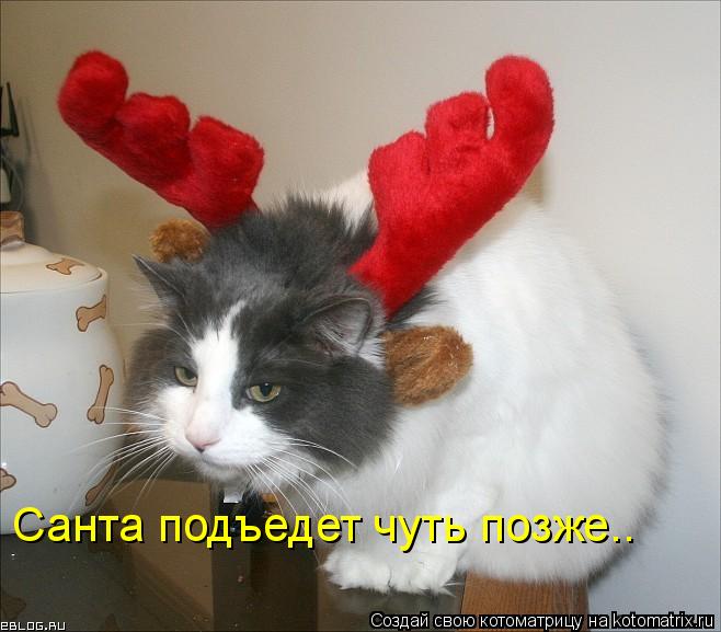 Санта подъедет чуть позже..... Котоматрица: Санта подъедет чуть позже..
