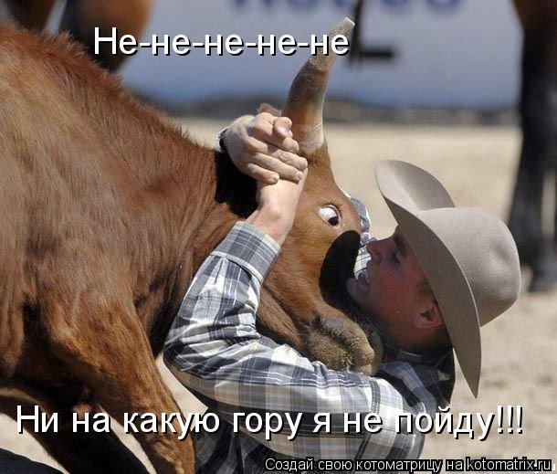 Не-не-не-не-не Ни на какую гору я не пойду!!!... Котоматрица: Не-не-не-не-не Ни на какую гору я не пойду!!!