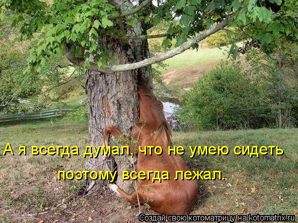 А я всегда думал, что не умею сидеть поэтому всегда лежал.... Котоматрица: А я всегда думал, что не умею сидеть поэтому всегда лежал.