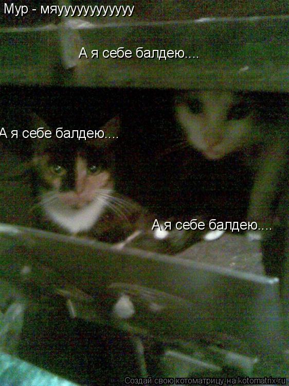 А я себе балдею.... А я себе балдею.... А я себе балдею.... Мур - мяуууууууууууу... Котоматрица: А я себе балдею.... А я себе балдею.... А я себе балдею.... Мур - мяуууууууууууу