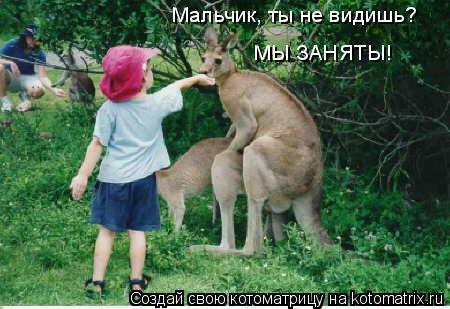 Мальчик, ты не видишь? МЫ ЗАНЯТЫ!... Котоматрица: Мальчик, ты не видишь? МЫ ЗАНЯТЫ!