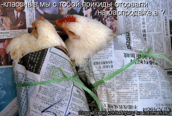 -классные мы с тобой прикиды оторвали на распродаже,а ?... Котоматрица: -классные мы с тобой прикиды оторвали на распродаже,а ?