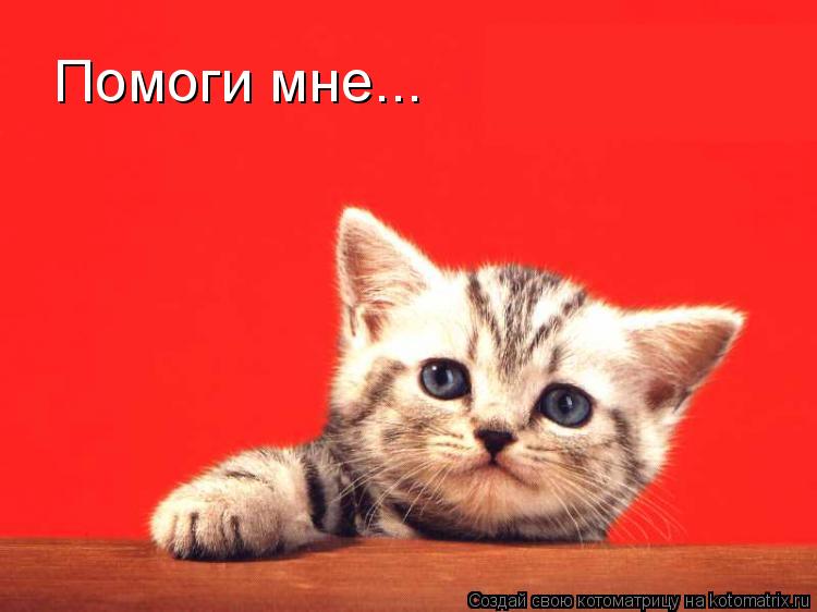 Помоги мне...... Котоматрица: Помоги мне...