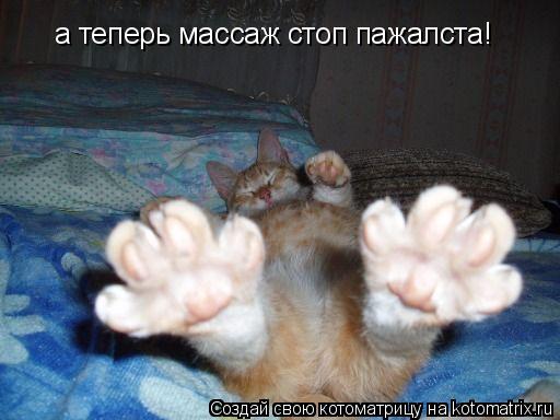 а теперь массаж стоп пажалста!... Котоматрица: а теперь массаж стоп пажалста!