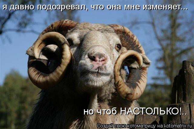 но чтоб НАСТОЛЬКО!.. я давно подозревал, что она мне изменяет...... Котоматрица: но чтоб НАСТОЛЬКО!.. я давно подозревал, что она мне изменяет...