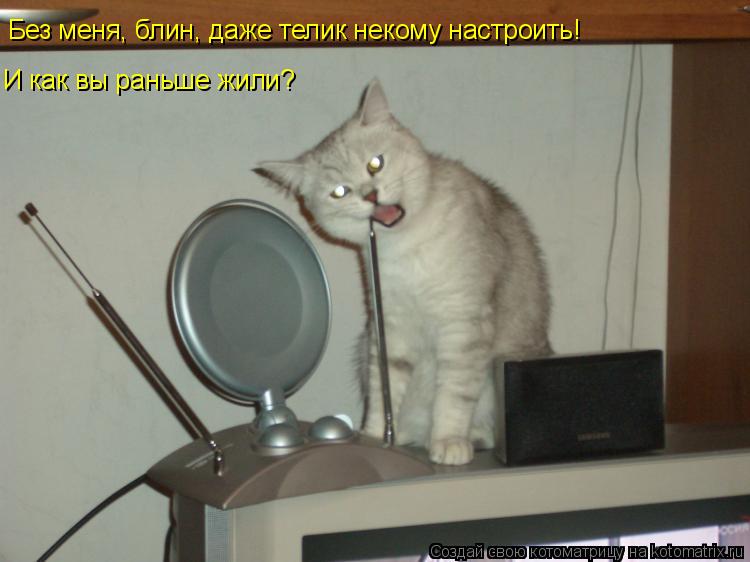 Без меня, блин, даже телик некому настроить! И как вы раньше жили?... Котоматрица: Без меня, блин, даже телик некому настроить! И как вы раньше жили?