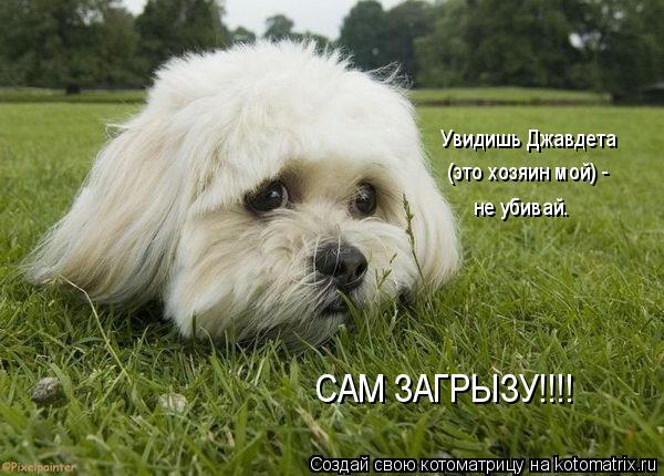 Увидишь Джавдета (это хозяин мой) - не убивай. САМ ЗАГРЫЗУ!!!!... Котоматрица: Увидишь Джавдета (это хозяин мой) - не убивай. САМ ЗАГРЫЗУ!!!!