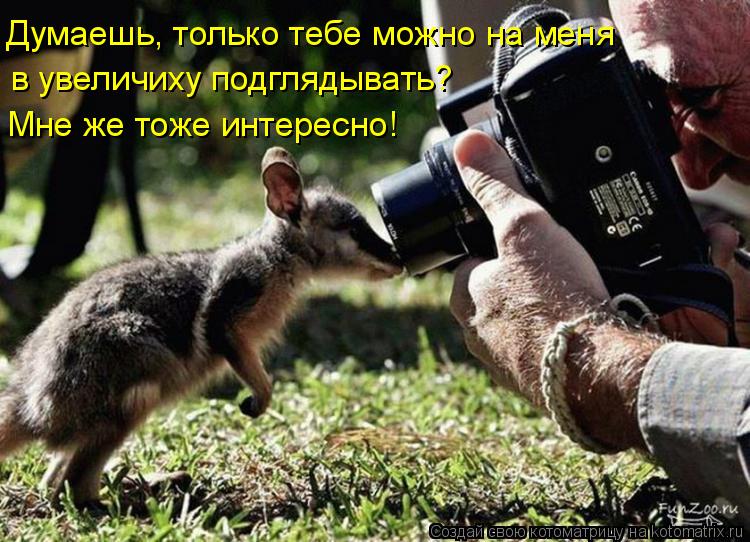 в увеличиху подглядывать? Думаешь, только тебе можно на меня Мне же тоже интересно!... Котоматрица: в увеличиху подглядывать? Думаешь, только тебе можно на меня Мне же тоже интересно!