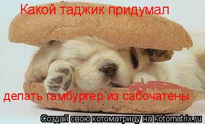 Какой таджик придумал делать гамбургер из сабочатены... Котоматрица: Какой таджик придумал делать гамбургер из сабочатены