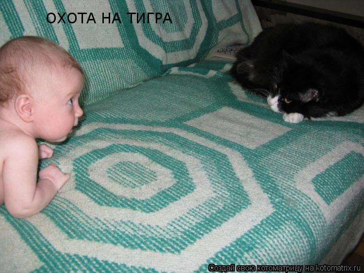 ОХОТА НА ТИГРА... Котоматрица: ОХОТА НА ТИГРА