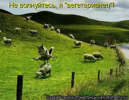 Не волнуйтесь, я "вегетарианец"!... Котоматрица: Не волнуйтесь, я "вегетарианец"!