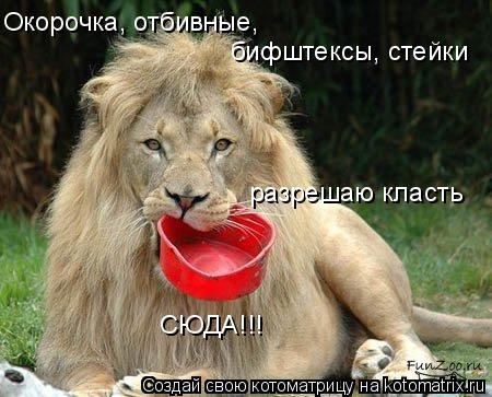 Окорочка, отбивные, бифштексы, стейки разрешаю класть СЮДА!!!... Котоматрица: Окорочка, отбивные, бифштексы, стейки разрешаю класть СЮДА!!!