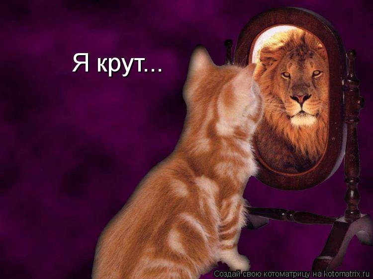 Я крут...... Котоматрица: Я крут...