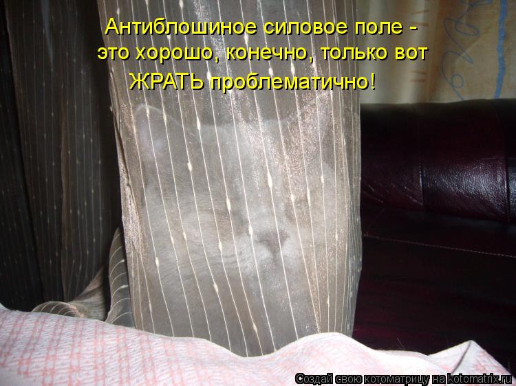 Антиблошиное силовое поле - это хорошо, конечно, только вот ЖРАТЬ проблематично!... Котоматрица: Антиблошиное силовое поле - это хорошо, конечно, только вот ЖРАТЬ проблематично!