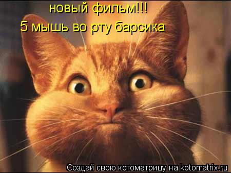 новый фильм!!! 5 мышь во рту барсика... Котоматрица: новый фильм!!! 5 мышь во рту барсика