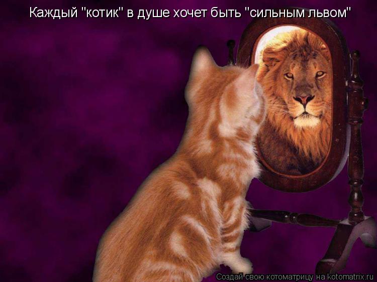 Каждый "котик" в душе хочет быть "сильным львом"... Котоматрица: Каждый "котик" в душе хочет быть "сильным львом"