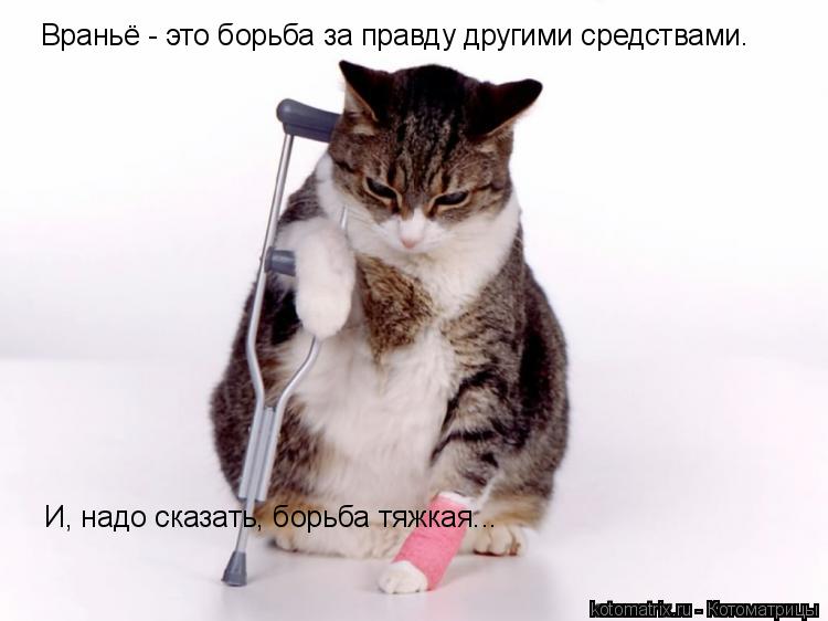 Враньё - это борьба за правду другими средствами. И, надо сказать, борьба тяжкая...... Котоматрица: Враньё - это борьба за правду другими средствами. И, надо сказать, борьба тяжкая...