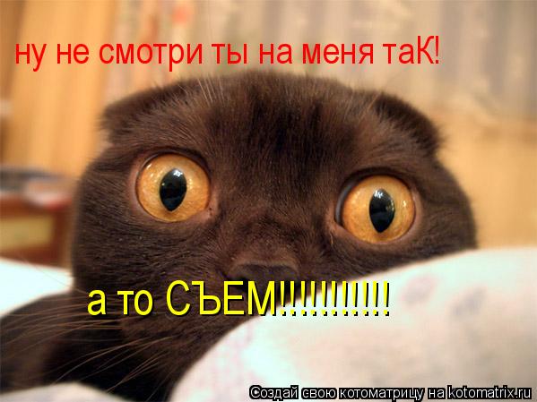 ну не смотри ты на меня таК! а то СЪЕМ!!!!!!!!!!!... Котоматрица: ну не смотри ты на меня таК! а то СЪЕМ!!!!!!!!!!!