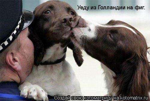 Уеду из Голландии на фиг.... Котоматрица: Уеду из Голландии на фиг.