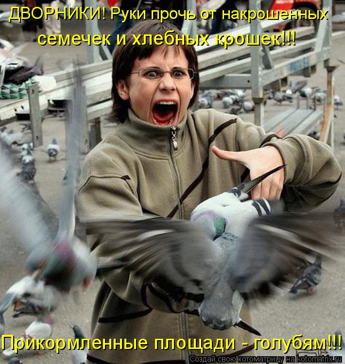 ДВОРНИКИ! Руки прочь от накрошенных семечек и хлебных крошек!!! Прикормленные площади - голубям!!!... Котоматрица: ДВОРНИКИ! Руки прочь от накрошенных семечек и хлебных крошек!!! Прикормленные площади - голубям!!!