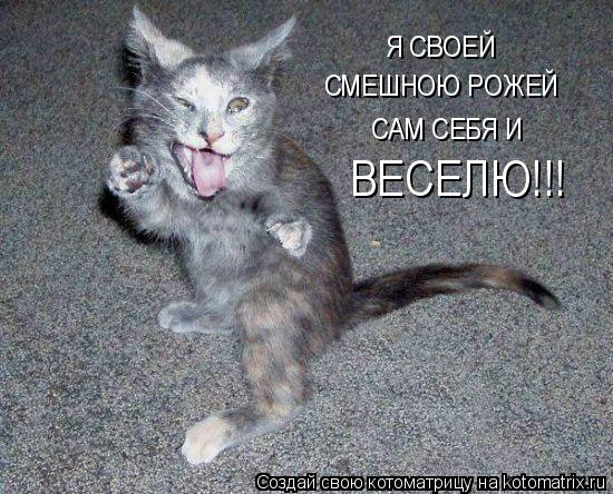 Я СВОЕЙ СМЕШНОЮ РОЖЕЙ САМ СЕБЯ И ВЕСЕЛЮ!!!... Котоматрица: Я СВОЕЙ СМЕШНОЮ РОЖЕЙ САМ СЕБЯ И ВЕСЕЛЮ!!!