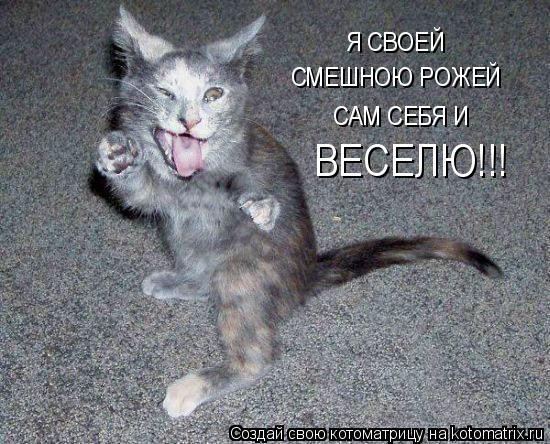 Котоматрица: Я СВОЕЙ СМЕШНОЮ РОЖЕЙ САМ СЕБЯ И ВЕСЕЛЮ!!!