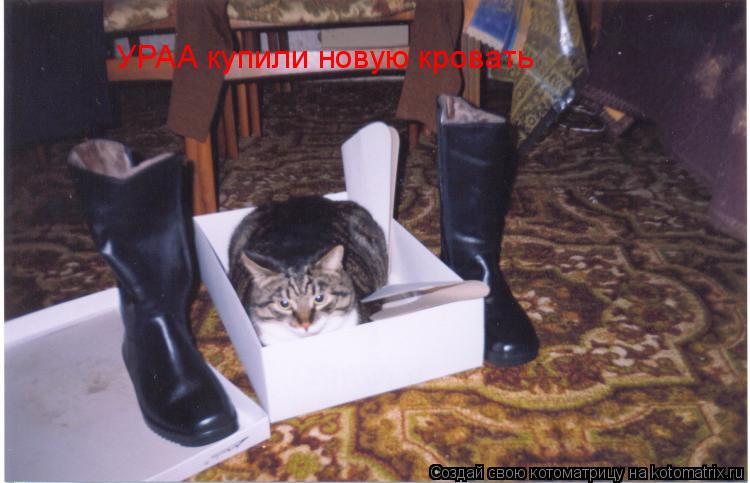 УРАА купили новую кровать... Котоматрица: УРАА купили новую кровать