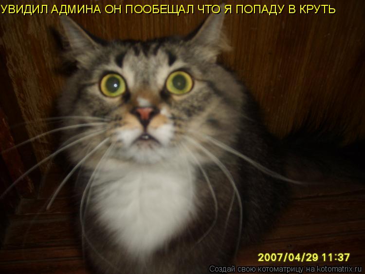УВИДИЛ АДМИНА ОН ПООБЕЩАЛ ЧТО Я ПОПАДУ В КРУТЬ... Котоматрица: УВИДИЛ АДМИНА ОН ПООБЕЩАЛ ЧТО Я ПОПАДУ В КРУТЬ