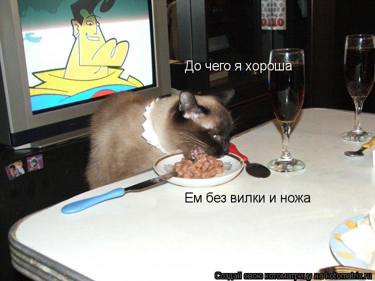 До чего я хороша Ем без вилки и ножа... Котоматрица: До чего я хороша Ем без вилки и ножа