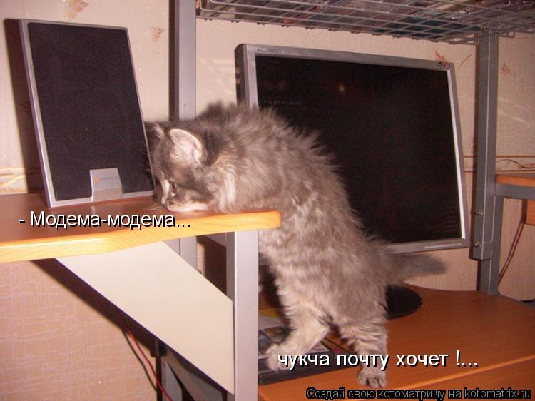- Модема-модема... чyкча почту хочет !...... Котоматрица: - Модема-модема... чyкча почту хочет !...