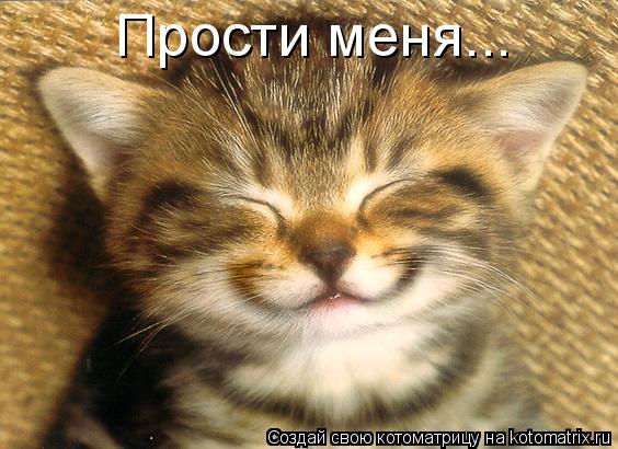 Прости меня...... Котоматрица: Прости меня...