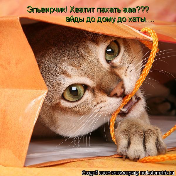Эльвирчик! Хватит пахать ааа??? айды до дому до хаты....... Котоматрица: Эльвирчик! Хватит пахать ааа??? айды до дому до хаты....