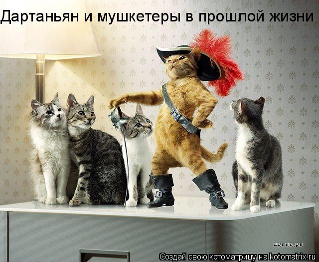 Дартаньян и мушкетеры в прошлой жизни... Котоматрица: Дартаньян и мушкетеры в прошлой жизни