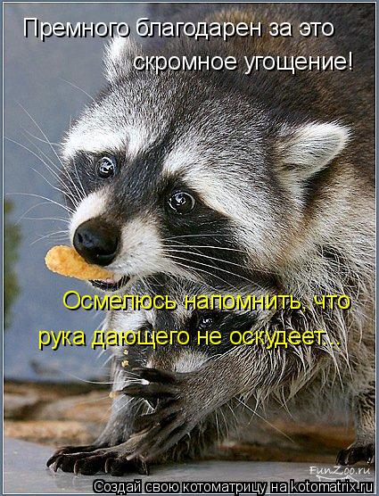 Премного благодарен за это скромное угощение! Осмелюсь напомнить, что рука дающего не оскудеет...... Котоматрица: Премного благодарен за это скромное угощение! Осмелюсь напомнить, что рука дающего не оскудеет...