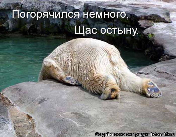 Погорячился немного, Щас остыну.... Котоматрица: Погорячился немного, Щас остыну.