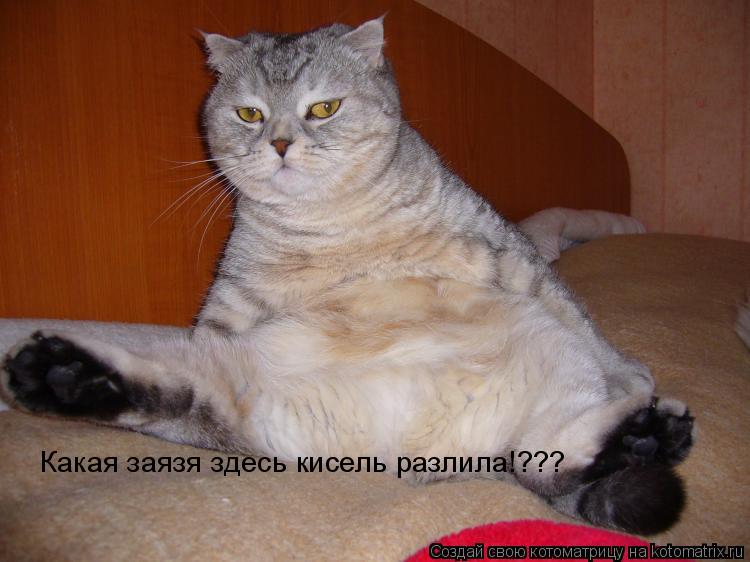 Какая заязя здесь кисель разлила!???... Котоматрица: Какая заязя здесь кисель разлила!???