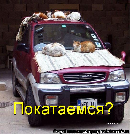 Покатаемся?... Котоматрица: Покатаемся?