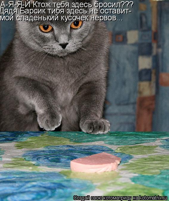 А-Я-Я-Й Ктож тебя здесь бросил??? Дядя Барсик тибя здесь не оставит- мой сладенький кусочек нервов...... Котоматрица: А-Я-Я-Й Ктож тебя здесь бросил??? Дядя Барсик тибя здесь не оставит- мой сладенький кусочек нервов...