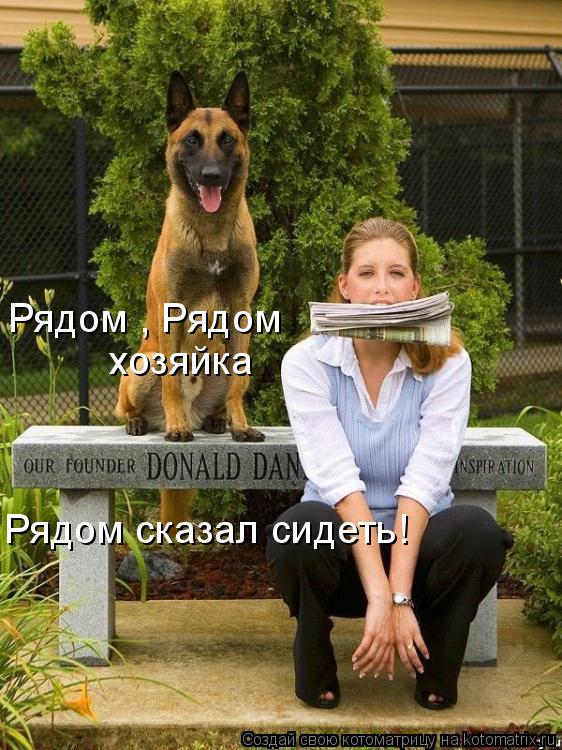 Рядом , Рядом хозяйка Рядом сказал сидеть!... Котоматрица: Рядом , Рядом хозяйка Рядом сказал сидеть!