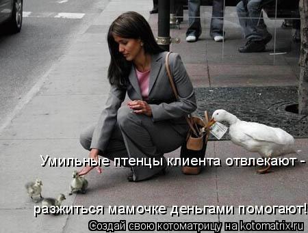 Умильные птенцы клиента отвлекают - разжиться мамочке деньгами помогают!... Котоматрица: Умильные птенцы клиента отвлекают - разжиться мамочке деньгами помогают!