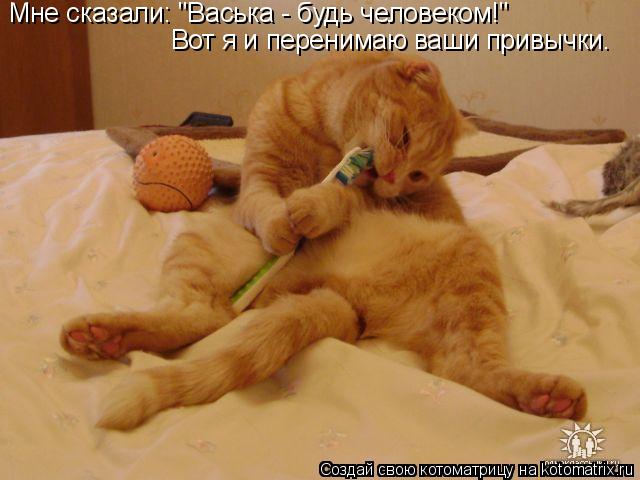 Котоматрица: Мне сказали: "Васька - будь человеком!"  Вот я и перенимаю ваши привычки.