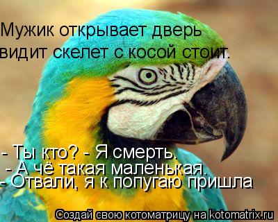 видит скелет с косой стоит. - Ты кто? - Я смерть. - А чё такая маленькая. Мужик открывает дверь - О... Котоматрица: видит скелет с косой стоит. - Ты кто? - Я смерть. - А чё такая маленькая. Мужик открывает дверь - Отвали, я к попугаю пришла