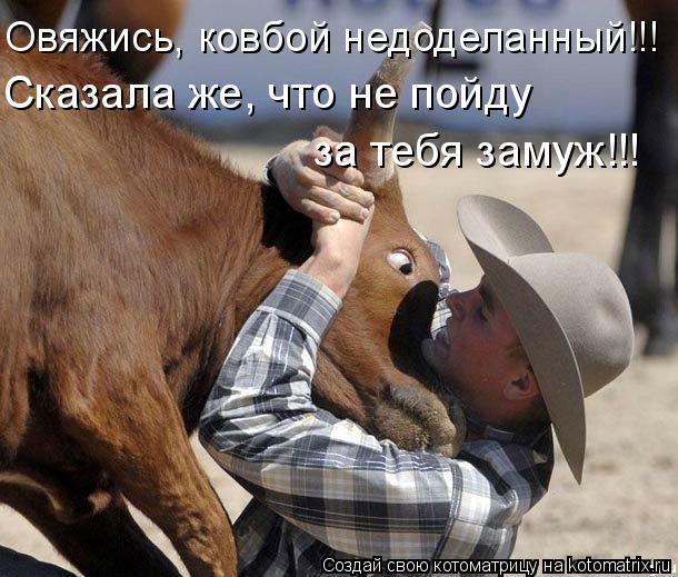 Овяжись, ковбой недоделанный!!! Сказала же, что не пойду за тебя замуж!!!... Котоматрица: Овяжись, ковбой недоделанный!!! Сказала же, что не пойду за тебя замуж!!!