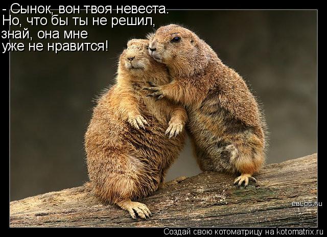 - Сынок, вон твоя невеста. знай, она мне уже не нравится! Но, что бы ты не решил,... Котоматрица: - Сынок, вон твоя невеста. знай, она мне уже не нравится! Но, что бы ты не решил,