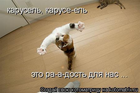 карусель, карусе-ель это ра-а-дость для нас ...... Котоматрица: карусель, карусе-ель это ра-а-дость для нас ...