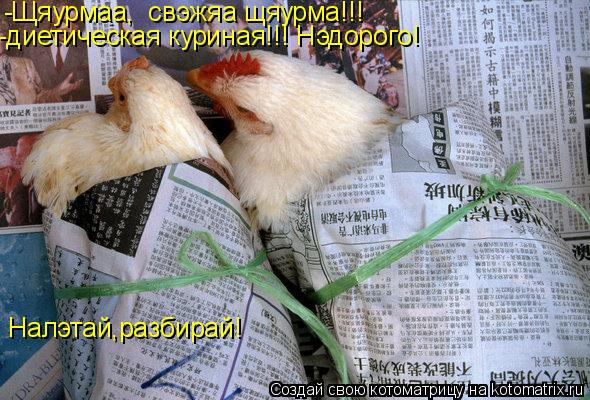 Налэтай,разбирай! -Щяурмаа, свэжяа щяурма!!! -диетическая куриная!!! Нэдорого!... Котоматрица: Налэтай,разбирай! -Щяурмаа, свэжяа щяурма!!! -диетическая куриная!!! Нэдорого!
