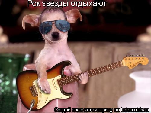 Рок звёзды отдыхают... Котоматрица: Рок звёзды отдыхают
